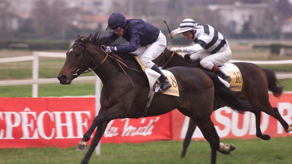 Toulouse winner: Goncharova (Kieren Fallon) wins a Group 3 over seven years ago at the French track which hosts a mixed meeting today