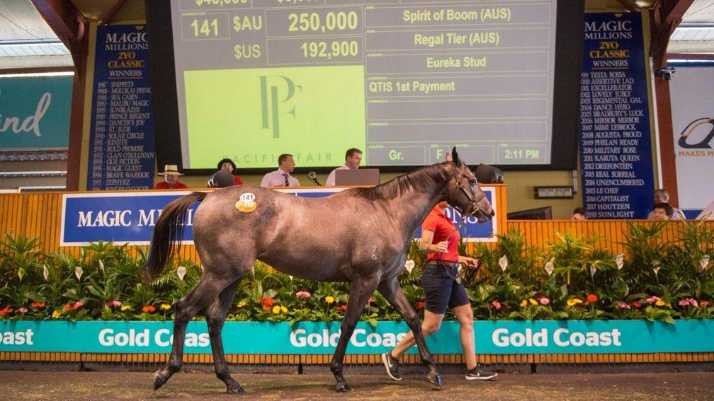 New record set for the Magic Millions Gold Coast March Yearling Sale as Spirit Of Boom filly knocked down for A$250,000