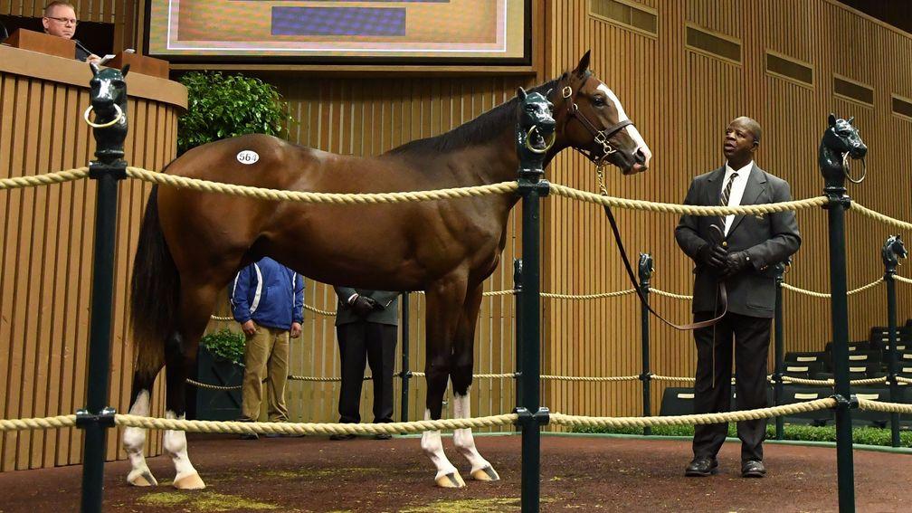 The Will Take Charge colt who raised $975,000 from the man who raced his sire