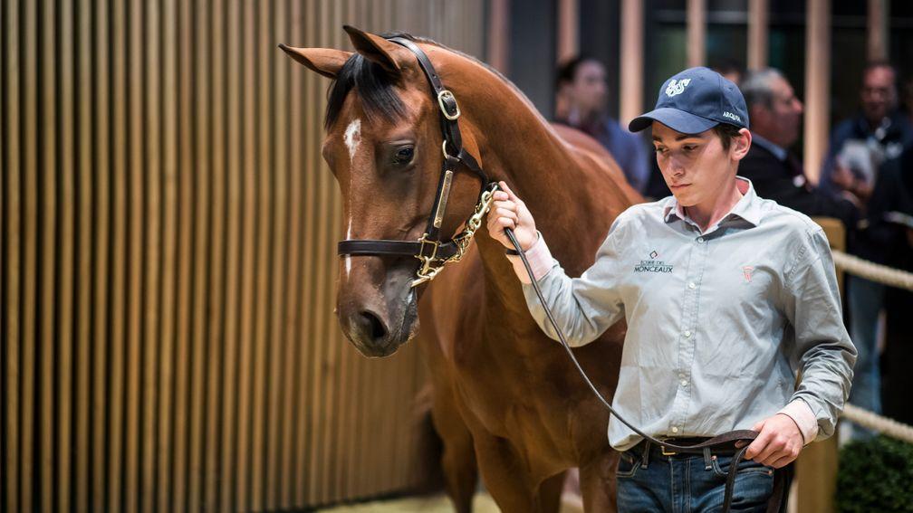 The Galileo filly out of Prudenzia sold for €950,000 at Arqana last August
