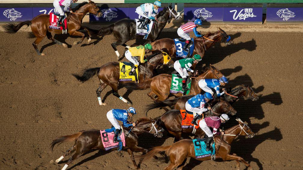 November: From the roof – the Breeders’ Cup Mile start at Santa Anita. The elevation makes the picture. They are 50 yards from the start, the colours are rich against the sand of the track and the winner is to be Tamarkuz, nearest to us in the blue silks