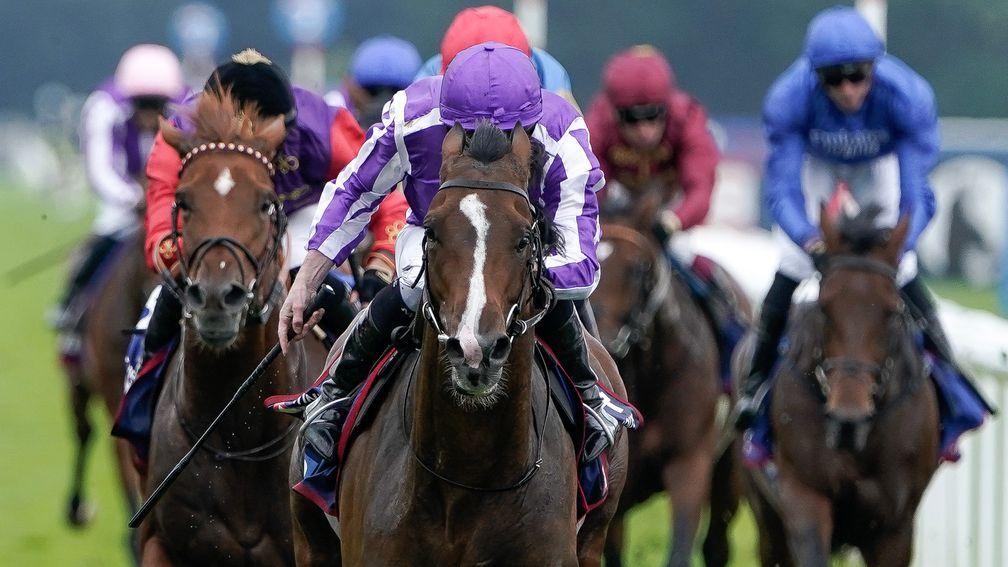Ryan Moore and Continuous (purple/white) power home in the Betfred St Leger at Doncaster on Saturday