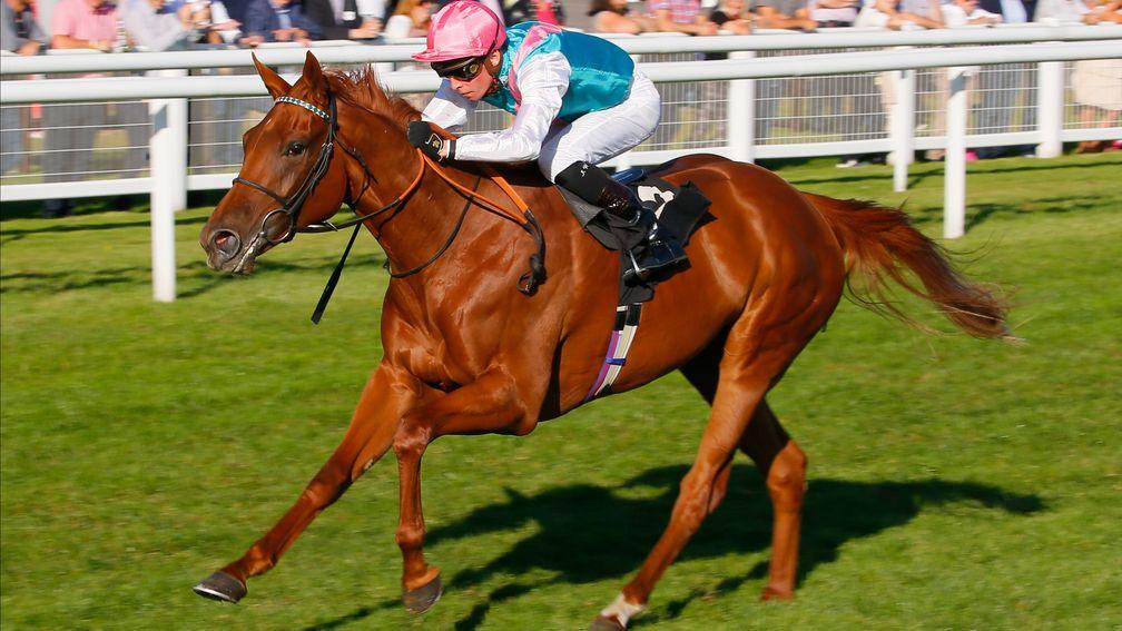 Quadrilateral: surged to the head of the 1,000 Guineas market