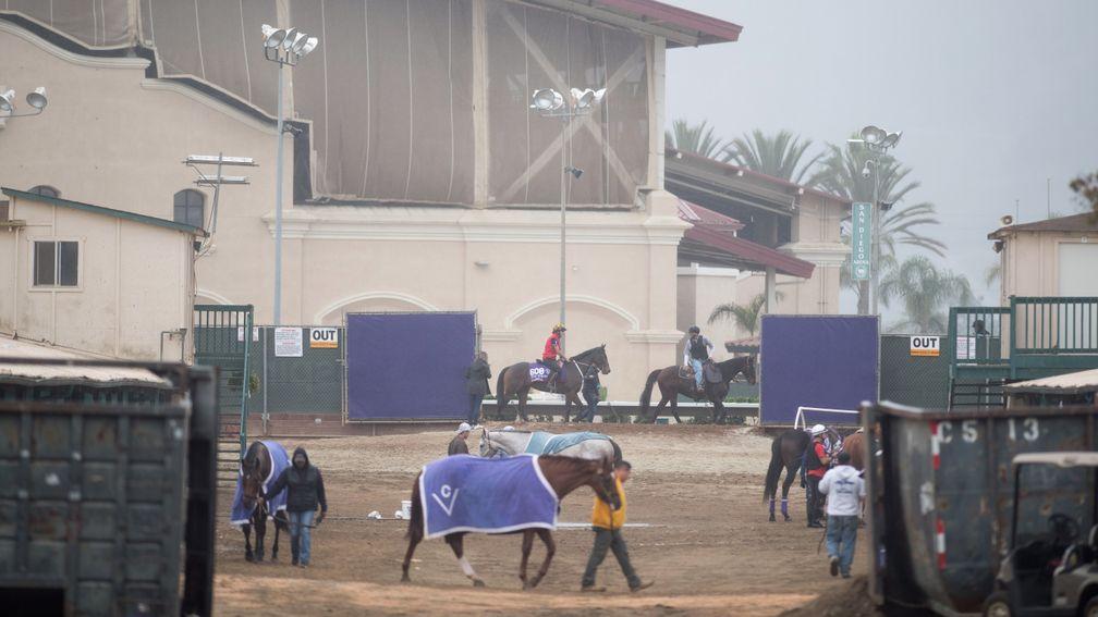 Taking a stroll: Del Mar is a laidback sort of place, unless you're a racehorse