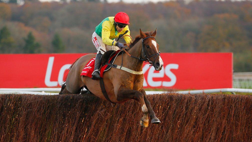 Sizing Tennessee: gives Tom Scudamore another success in the Ladbrokes Trophy