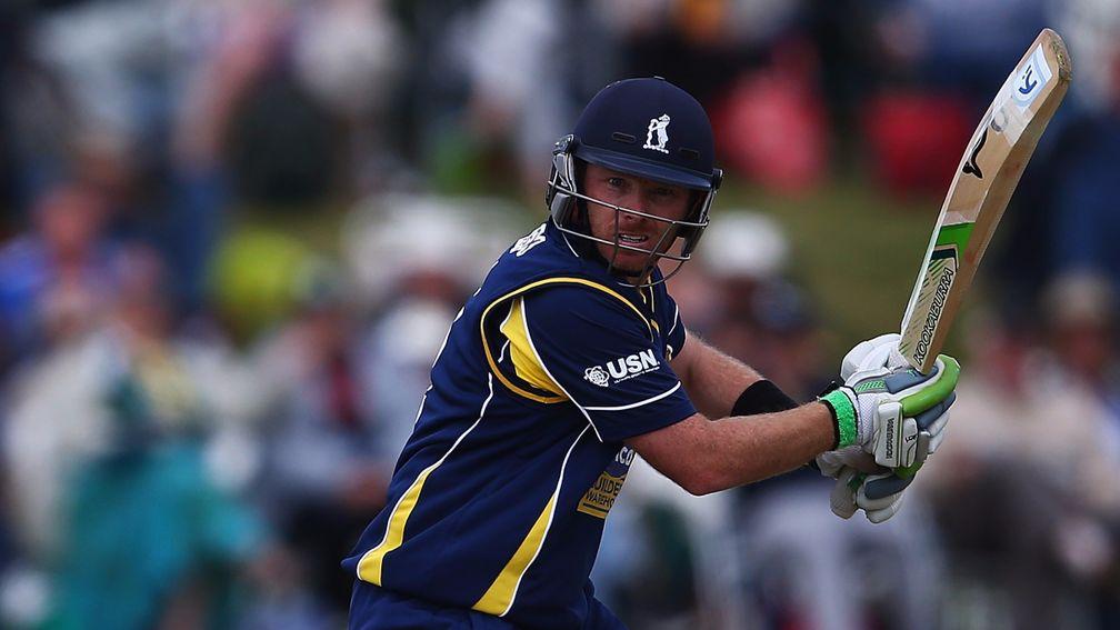 Ian Bell's experience can guide Warwickshire to victory