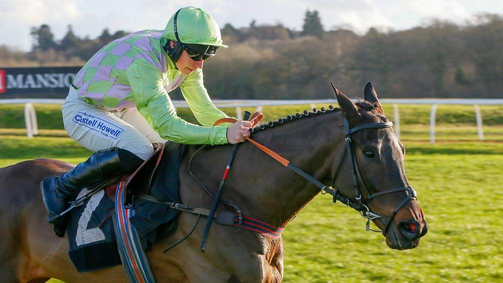 Le Ligerien: thrived on heavy ground at Chepstow last time