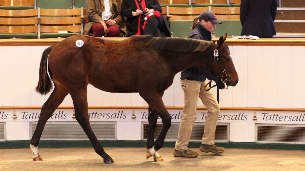 Lot 632: the Bated Breath colt bred by Laundry Cottage Stud brings 185,000gns