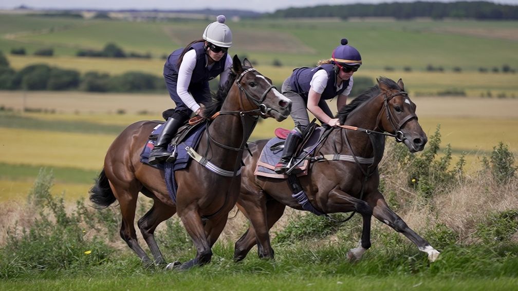 Juniper Berries (grey cap) stretches her legs under Steph Blackett