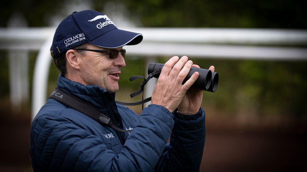 Aidan O'Brien: has his eyes fixed on a 19th Beresford Stakes success