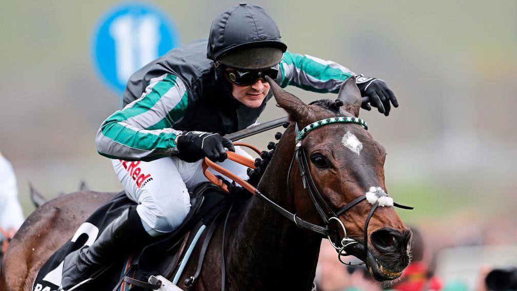 Arkle winner Altior might have been up to taking this year's Champion Chase