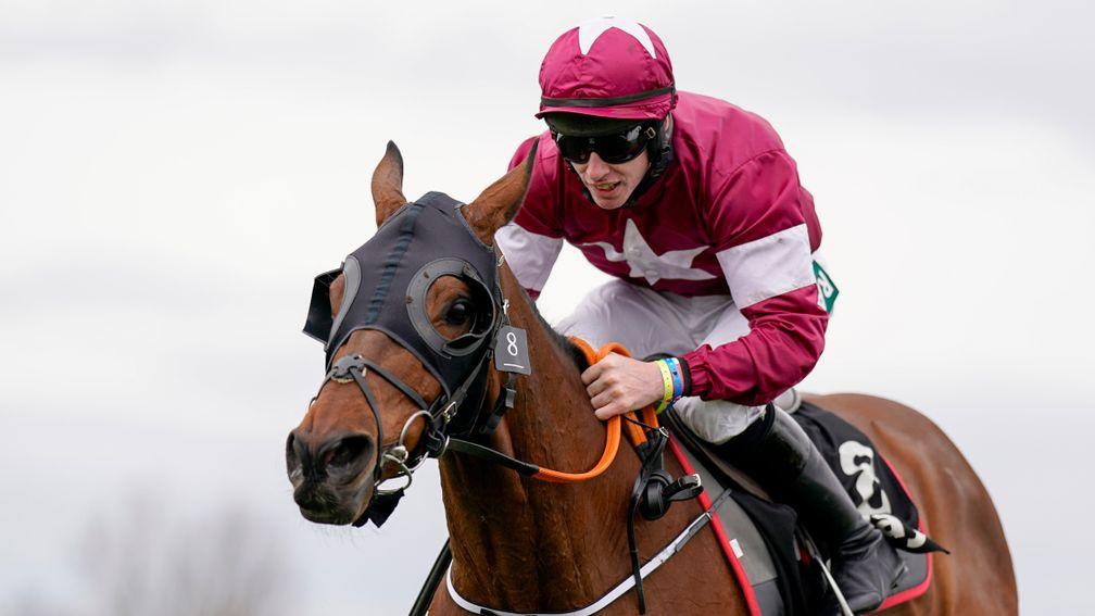 Gordon Elliott: 'We all know that Tiger Roll in the winter and Tiger Roll in the spring are two different horses and he has been beginning to spark back into life at home in the past few weeks.'