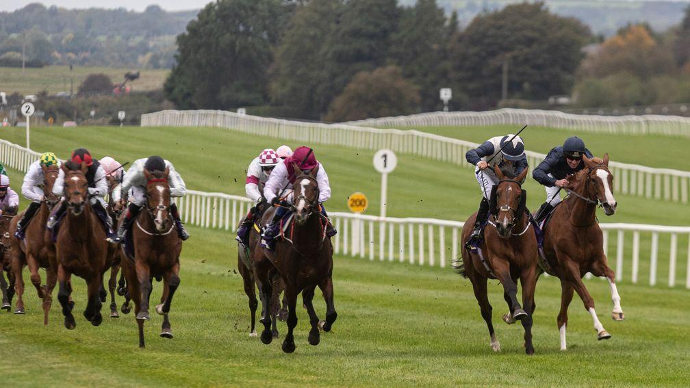 Anner Castle (second from right): survived stewards' inquiry to score at the Curragh on Thursday