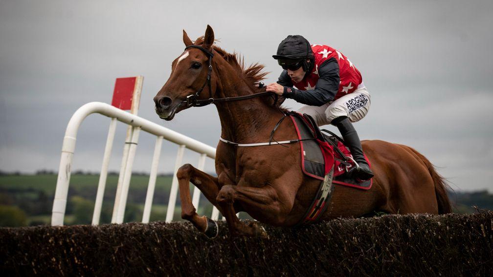 Cape Gentleman: off the mark at first attempt over fences