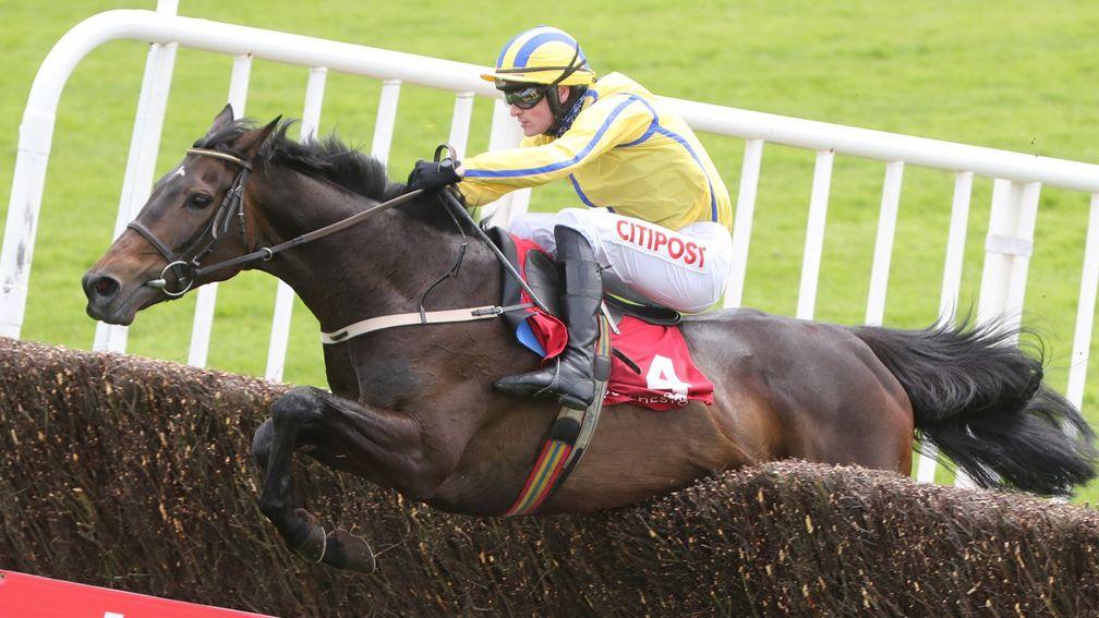 Sapphire Lady could be the pick of Willie Mullins' three contenders