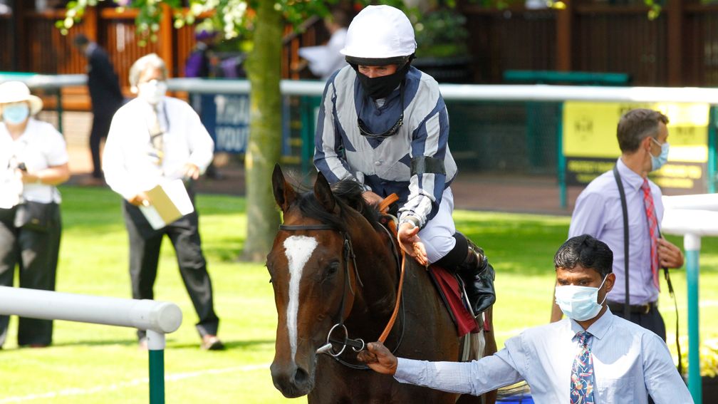 Highest Ground: bids to become 11th winner of the race for Sir Michael Stoute