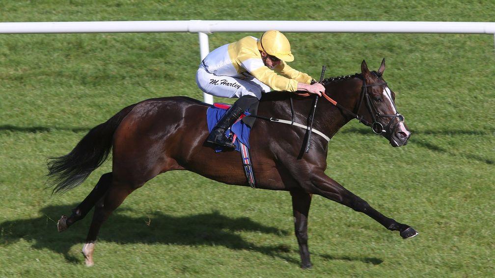Quiet Reflection: the 2016 Commonwealth Cup winner got back on track with a victory at Naas