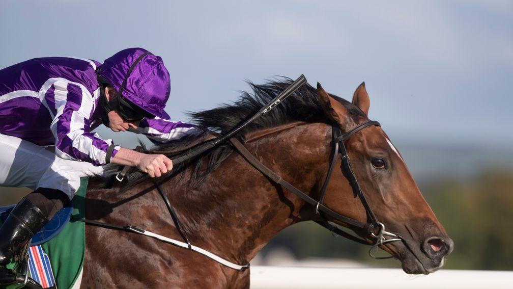 Saxon Warrior and Ryan Moore power in to give Aidan O'Brien his 17th Beresford Stakes and seventh in a row