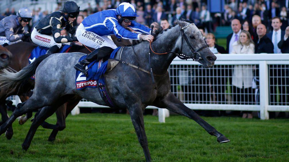 Librisa Breeze: is expected to mix it between 6f and 7f