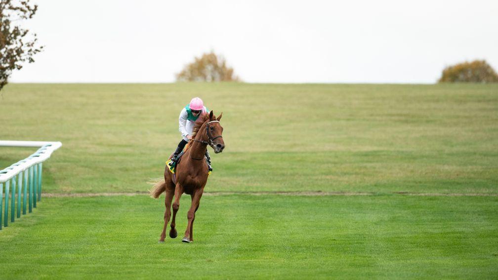 Quadrilateral: the unbeaten filly is the fourth daughter of Frankel to land a top-level contest