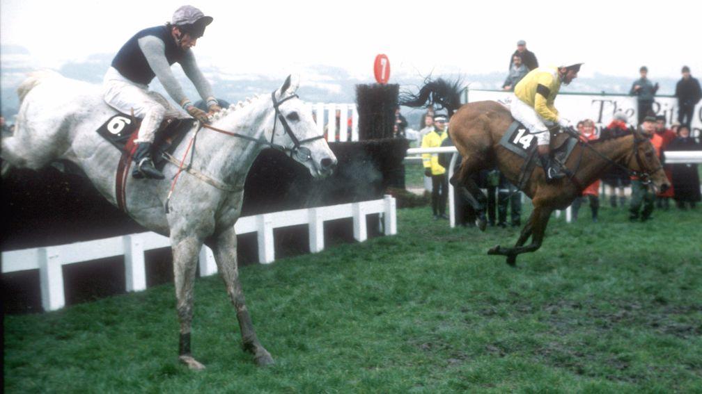 Desert Orchid (near side) jumps the final fence behind Yahoo before winning the 1989 Cheltenham Gold Cup
