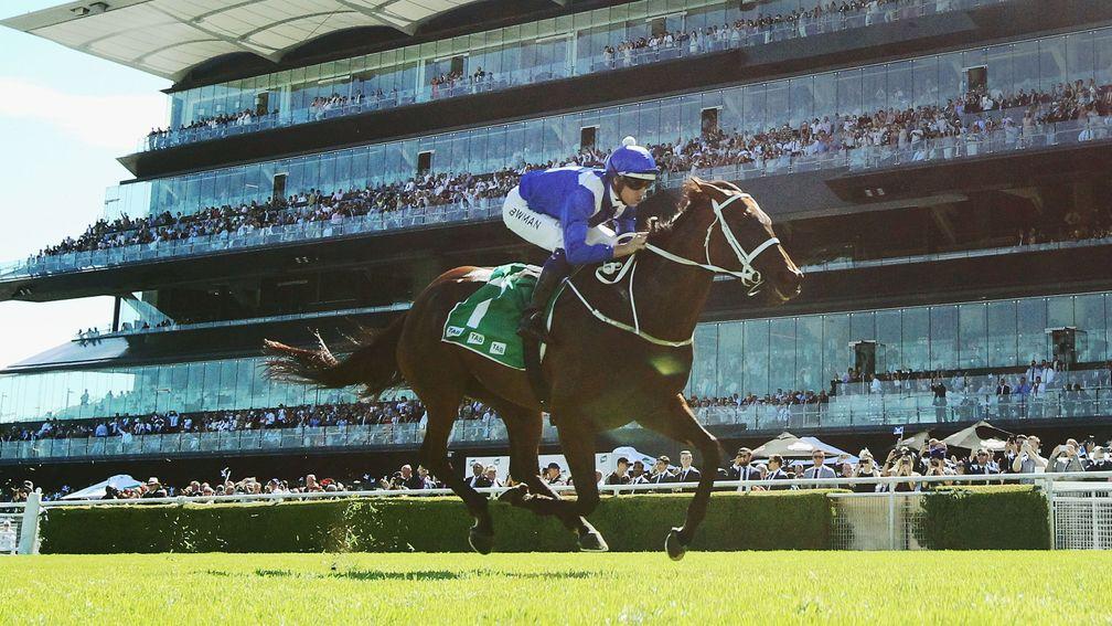 Winx: all roads lead to Cox Plate