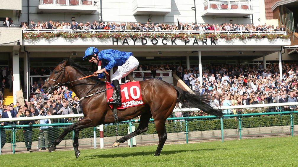 Harry Angel: returns to action in the Group 2 Duke Of York Stakes