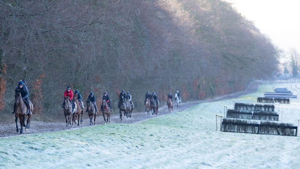 An icy scene at Chris Gordon's yard on Wednesday morning