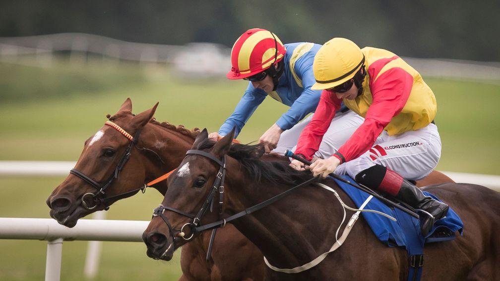 Mazzuri (inside) gets the better of  Elysian Plains at Gowran on her second start
