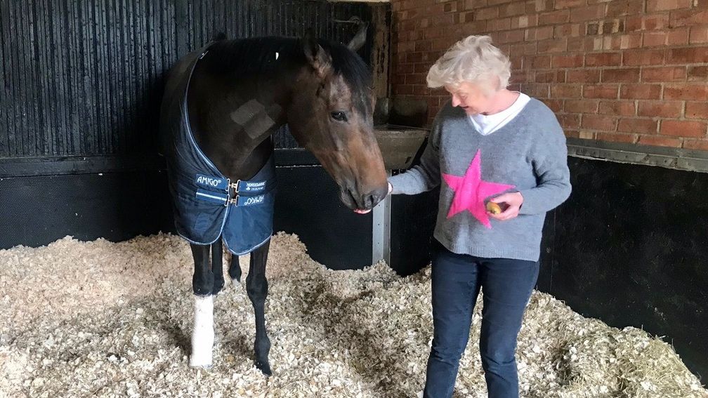 The Tin Man gets a well-deserved apple from Jacko Fanshawe on his return to Pegasus Stables