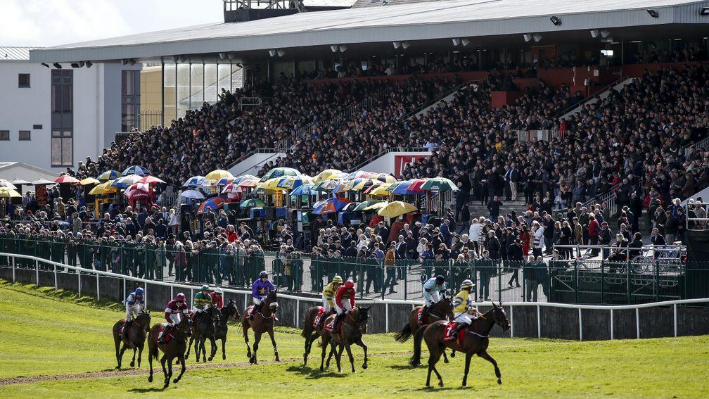 Punchestown is one of six racecourses in Britain and Ireland to host action on Wednesday