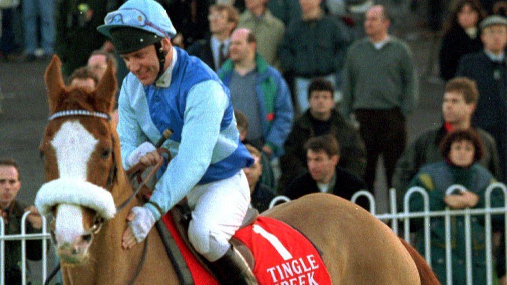 Together again: Tingle Creek and Steve Smith Eccles reunited at Sandown in 1994; the great horse paraded every year before the race named in his honour