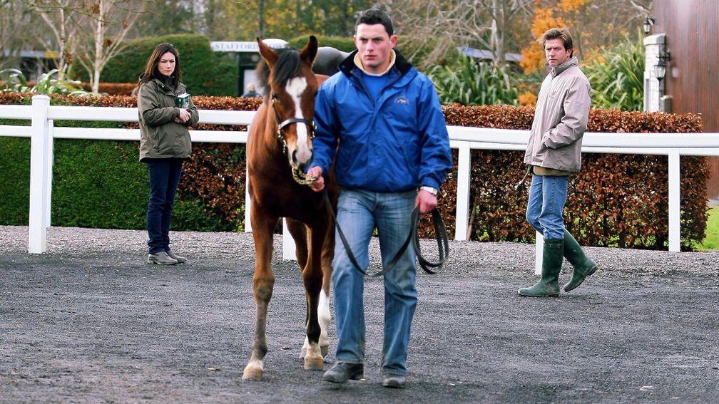 Gerry Burke (right) and Patricia Burke inspect the George Washington filly before buying her as a foal at Goffs