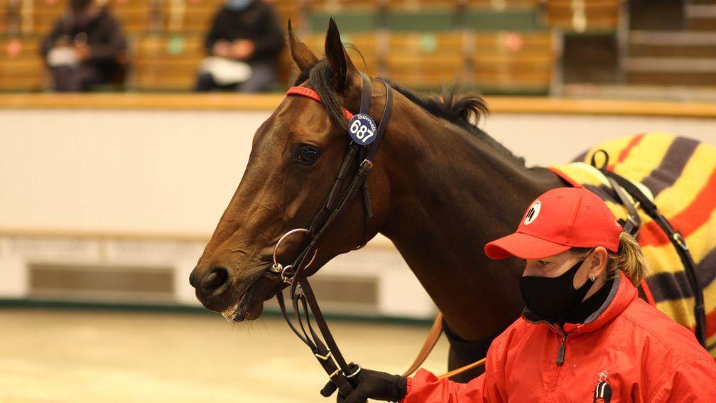 Royal Address: the 170,000gns filly was one of two six-figure lots secured by Narvick International