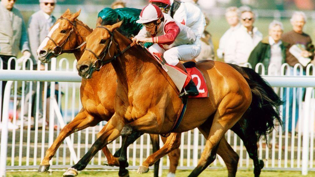 In The Groove and Steve Cauthen outpoint Zoman in the 1991 Sandown Mile
