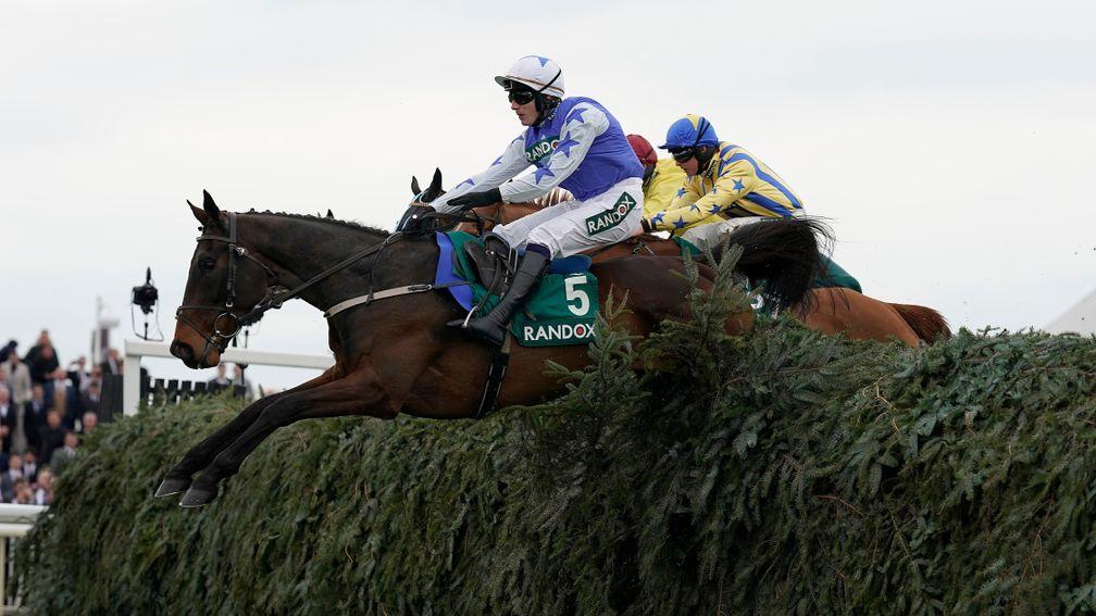 Cadmium: won the Topham Chase over the Grand National course last season