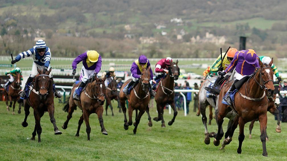 Wicklow Brave (right) was collared late on by William Henry (left) in the Coral Cup