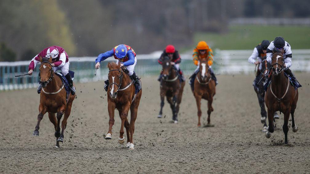 Jungle Inthebungle (second left) breaks his maiden at Lingfield Park