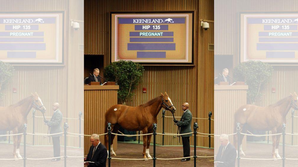 Applauding in the famous Keeneland sales ring