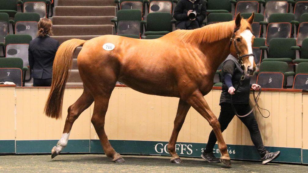 Concertista takes her turn in the Goffs spotlight