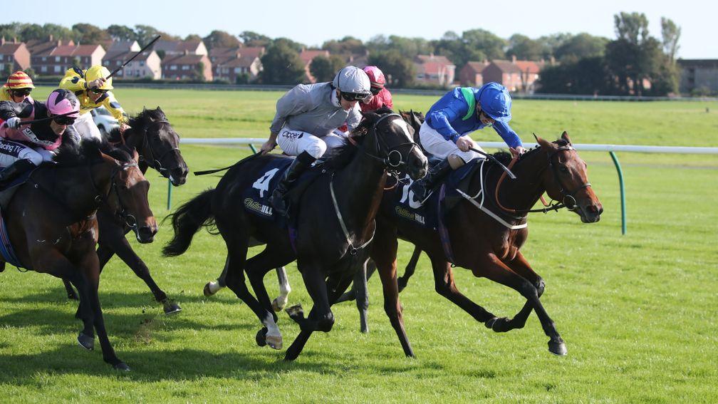 Rose Of Kildare (blue) sticks her neck out to land the William Hill Firth Of Clyde Stakes