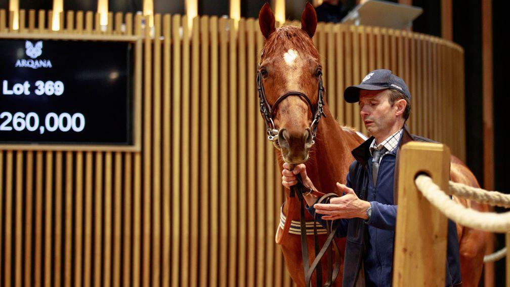 Gaucher, who made €260,000 in the ring on Monday