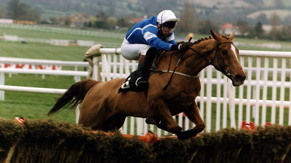 Granville Again: the 1993 Champion Hurdle winner was the best horse produced by Berry