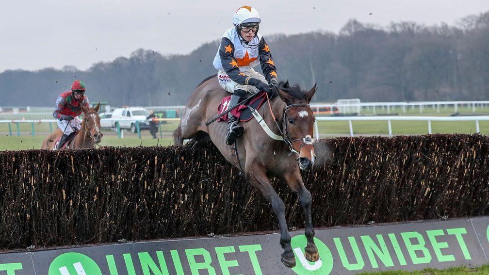 The Dutchman soars over the last to win the Peter Marsh Chase