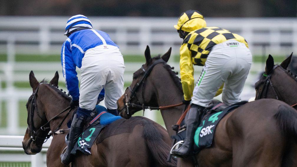 Energumene (left) and Shishkin served up an all-time classic at Ascot on Saturday