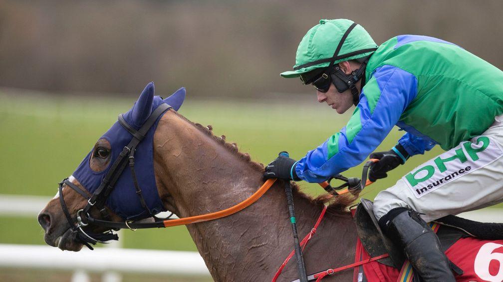 Ronald Pump: smart horse is now with Ciaran Murphy