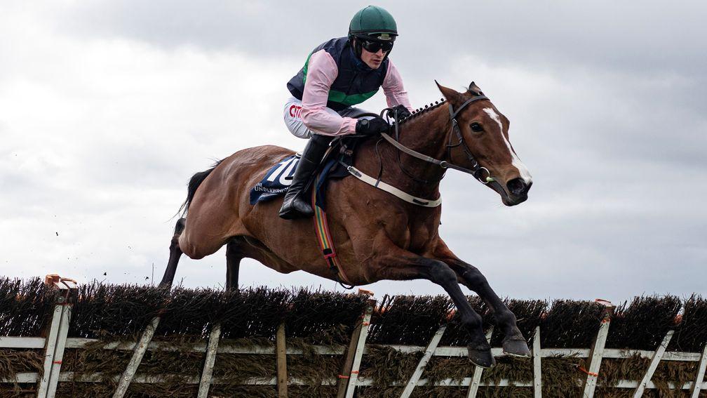 Stormy Ireland: back to her best since returning to Willie Mullins