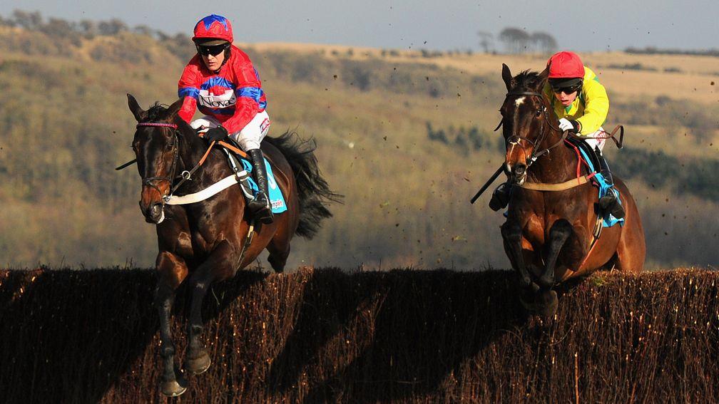 Finest hour: Sprinter Sacre (left, Barry Geraghty) puts Sizing Europe to the sword in the 2013 Queen Mother Champion Chase