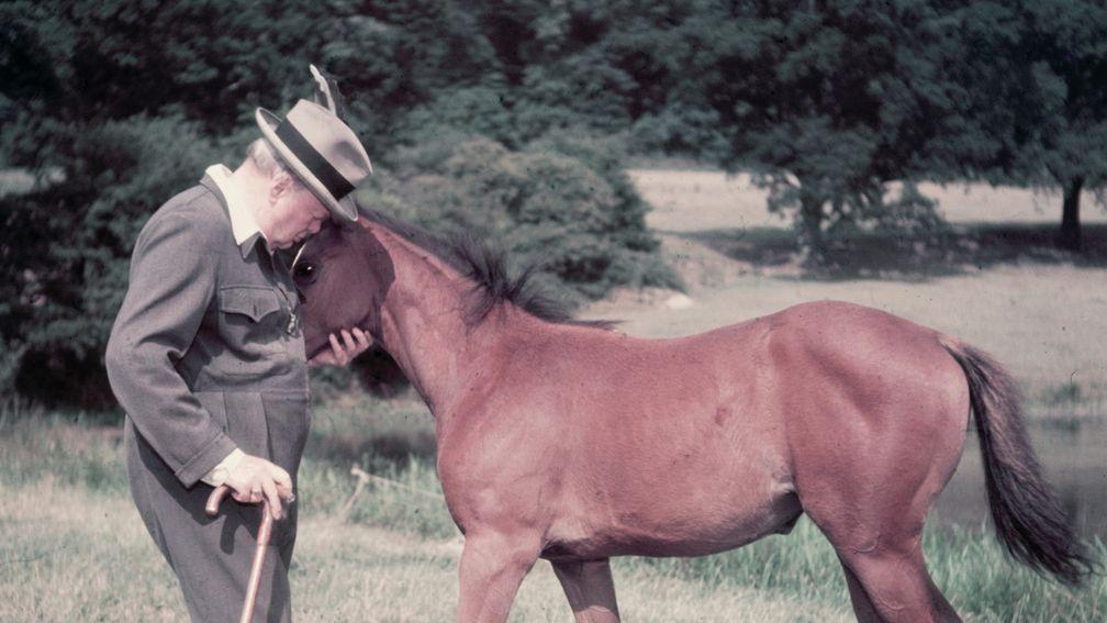 Winston Churchill with a foal on his estate at Chartwell, near Westerham, Kent in 1950