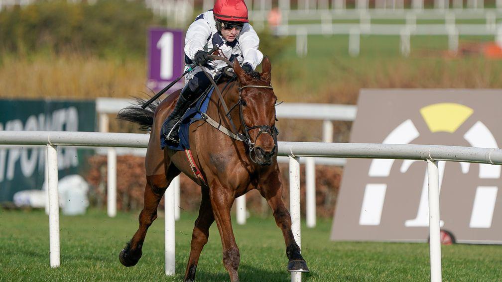 Ballyburn: ante-post favourite for the Supreme and Baring Bingham Novices' Hurdles